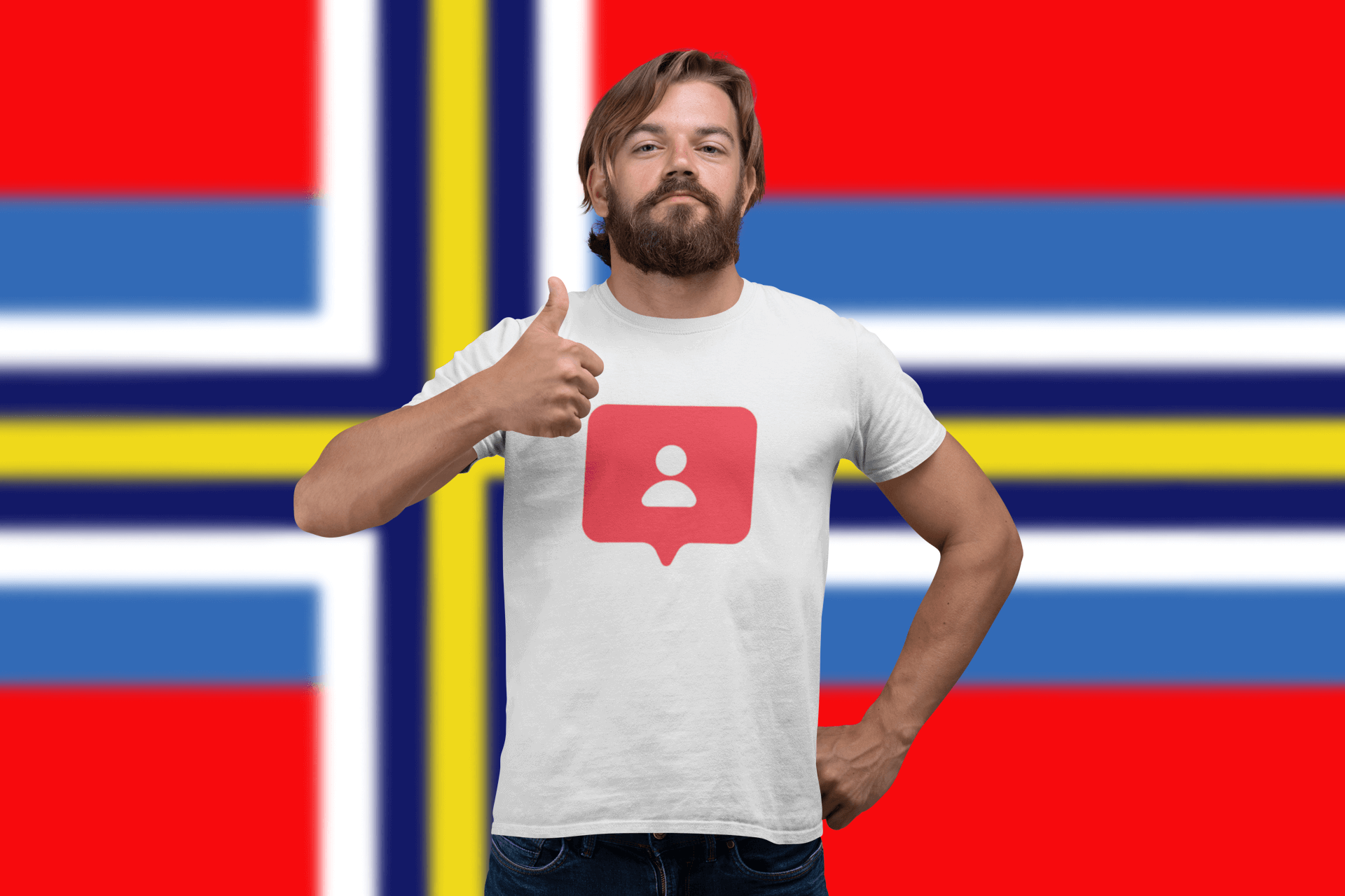 buy Scandinavian instagram followers premium